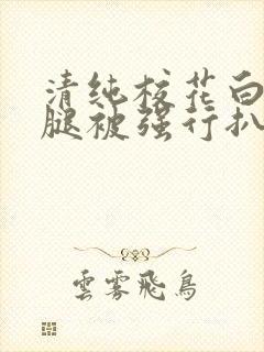 清纯校花白丝双腿被强行扒开