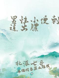 男性小便刺痛尿道出脓