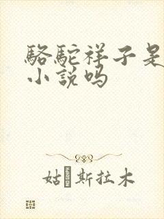 骆驼祥子是长篇小说吗