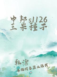 中邦s1126玉米种子