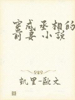 穿成丞相的炮灰前妻 小说