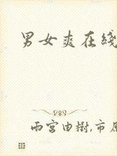 男女爽在线视频