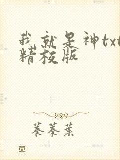 我就是神txt精校版