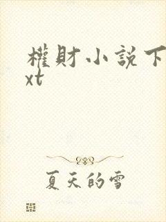 权财小说下载txt