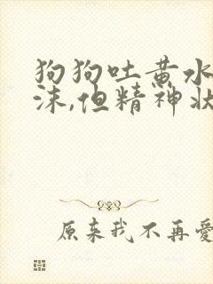 狗狗吐黄水带泡沫,但精神状态很好