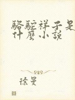 骆驼祥子是一篇什么小说