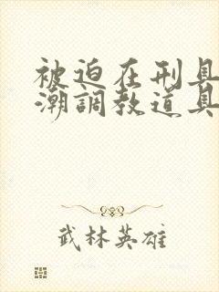 被迫在刑具上高潮调教道具