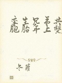 孪生兄弟共感双胞胎年上双男主小说