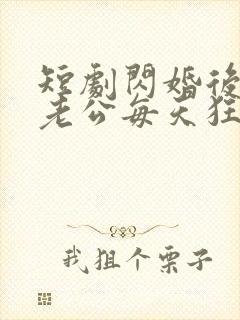 短剧闪婚后大叔老公每天狂宠我在线观看