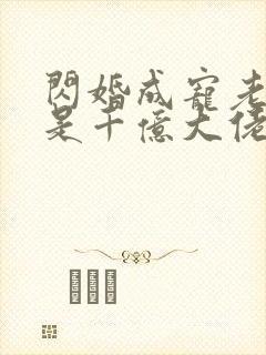 闪婚成宠老公竟是千亿大佬下载