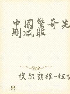 中国惊奇先生无删减版