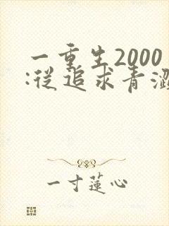 一重生2000:从追求青涩校花同桌开始