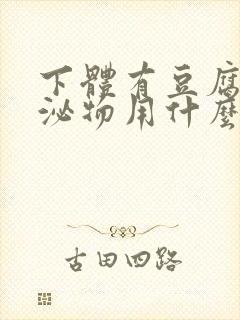 下体有豆腐渣分泌物用什么药