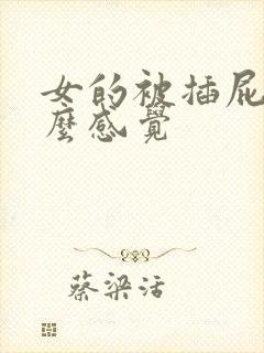 女的被插屁眼什么感觉