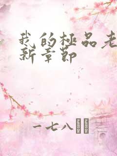 我的极品老婆最新章节