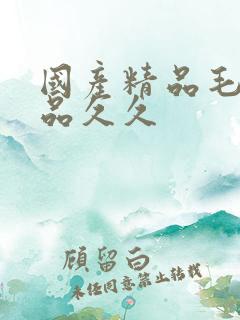 国产精品毛片极品久久