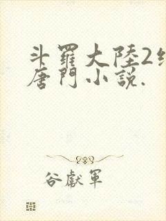 斗罗大陆2绝世唐门小说.