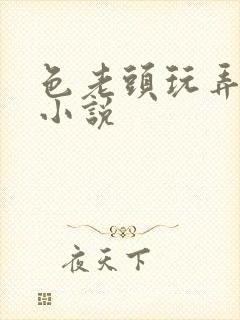 色老头玩弄系列小说