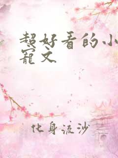 超好看的小说甜宠文