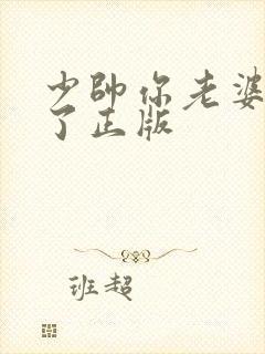 少帅你老婆又跑了正版