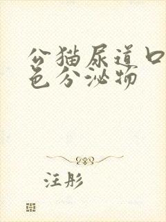 公猫尿道口有黄色分泌物