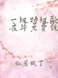 一级特级欧美午夜片免费观看