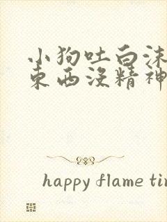 小狗吐白沫不吃东西没精神拉血