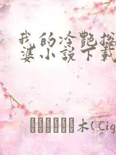 我的冷艳总裁老婆小说下载