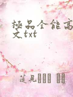 极品全能高手全文txt
