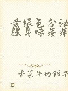 黄绿色分泌物有腥臭味瘙痒