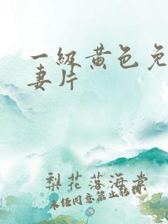 一级黄色免费夫妻片