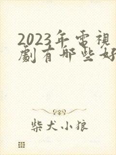 2023年电视剧有哪些好看的