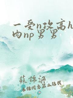一受n攻高h全肉np男男