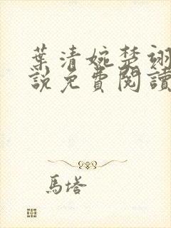 叶清婉楚翊辰小说免费阅读最新章节