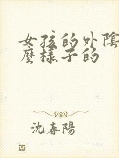 女孩的外阴是什么样子的