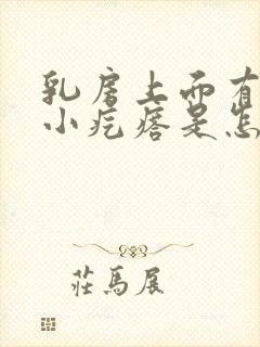 乳房上面有一些小疙瘩是怎么回事