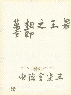 万相之王最最新章节