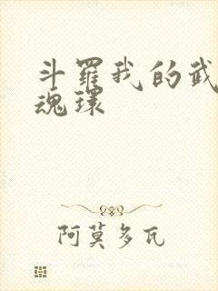 斗罗我的武魂是魂环