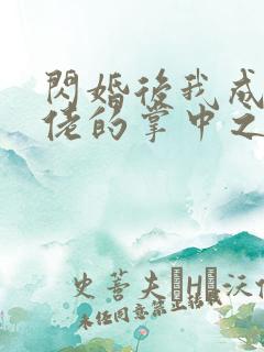 闪婚后我成为大佬的掌中之物