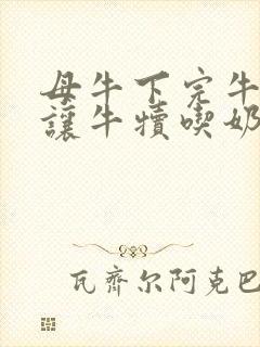 母牛下完牛犊不让牛犊吃奶怎么办