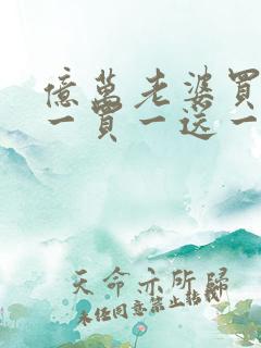 亿万老婆买一送一买一送一