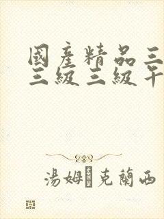 国产精品三级a三级三级午夜