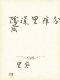 阴道里痒分泌物黄