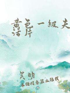 黄色一级夫妻生活片