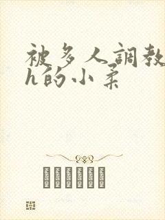 被多人调教失禁h的小柔