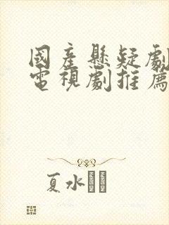 国产悬疑剧破案电视剧推荐