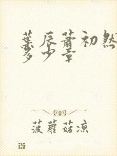 叶辰萧初然一共多少章