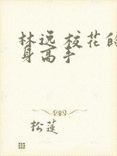 林逸 校花的贴身高手