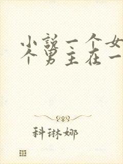 小说一个女主多个男主在一起