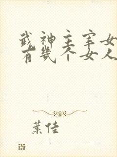 武神主宰女主角有几个女人